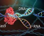 Genomic Editing of Microbes
