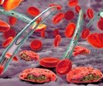 The Malaria Parasite Life Cycle