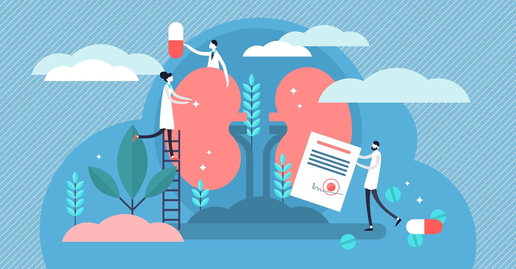 Kidney Health