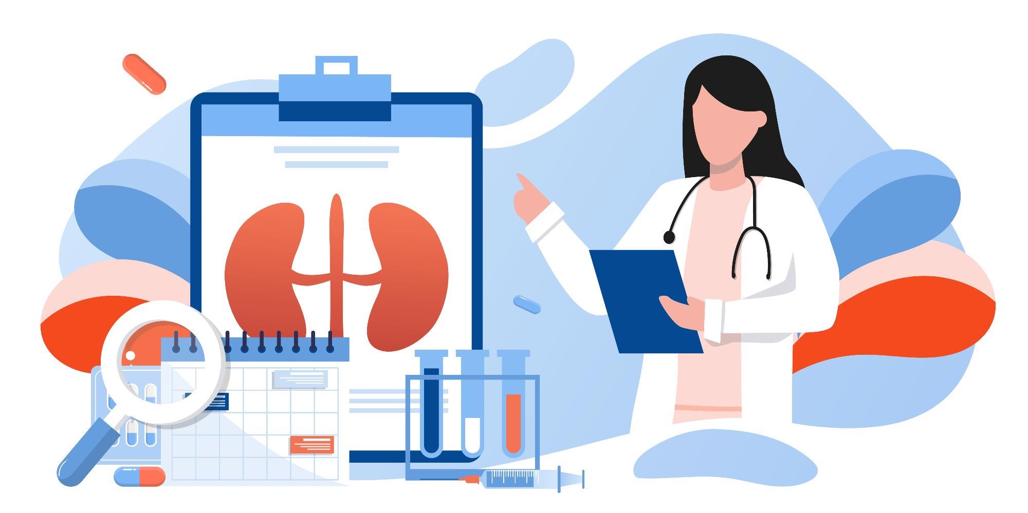 Kidney