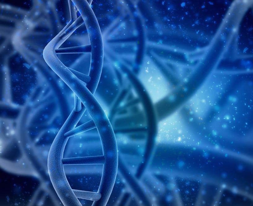 DNA