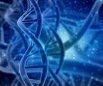 The Biochemistry of Cloning