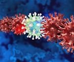 What is a Viral Strain?