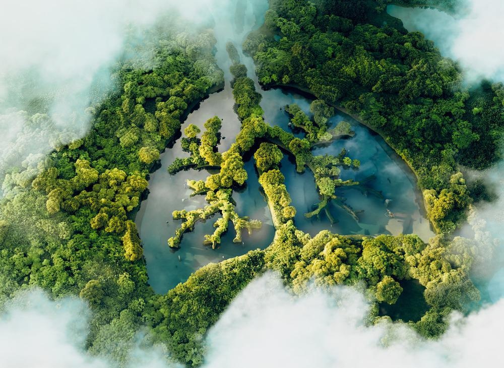 Healthy Planet