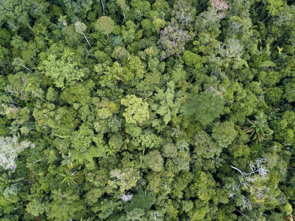 Biodiversity