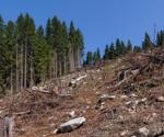 Using Biochemistry to Solve Environmental Degradation