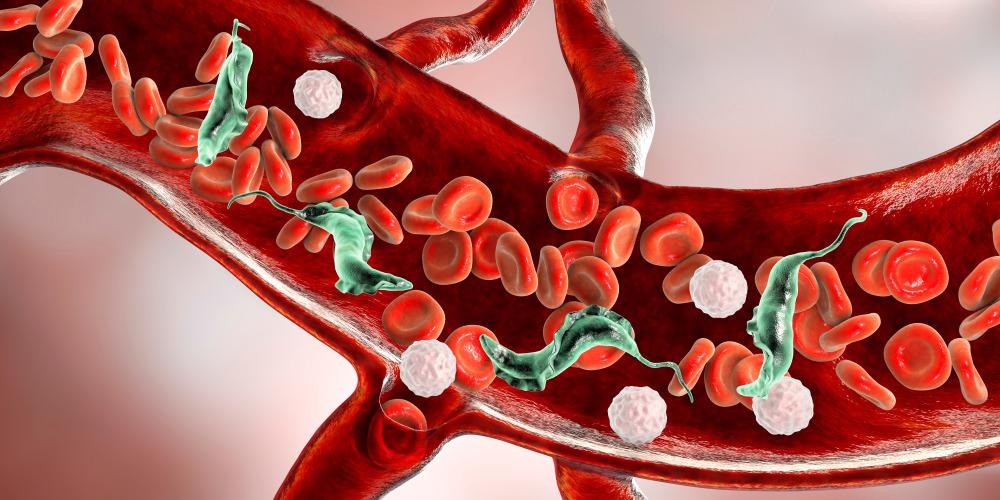 Chagas Disease