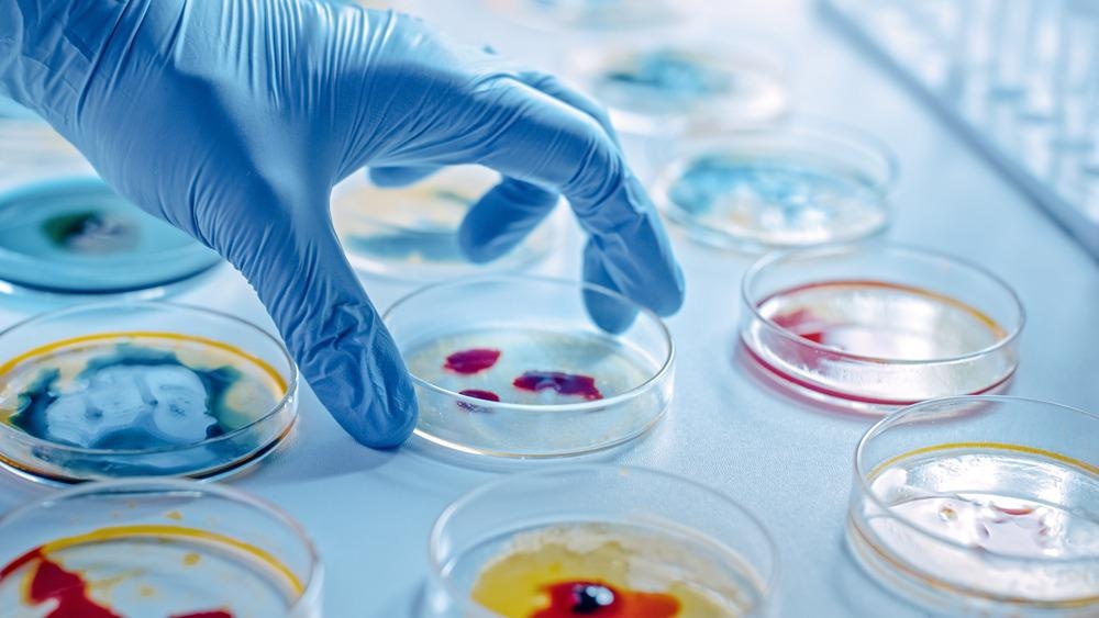 Microbiology Lab