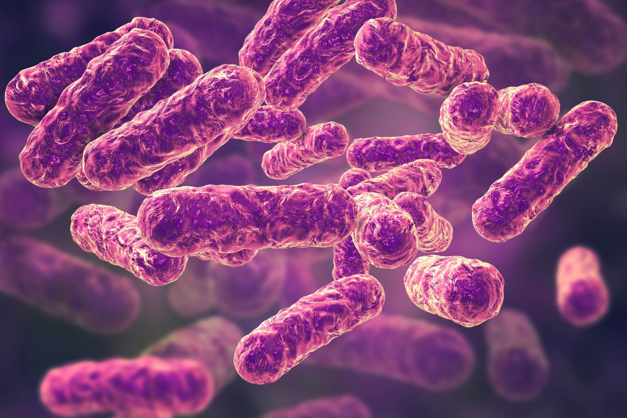 Bartonella henselae bacteria, the causative agent of cat-scratch disease or bartonellosis 3D illustration. Image Credit: Kateryna Kon