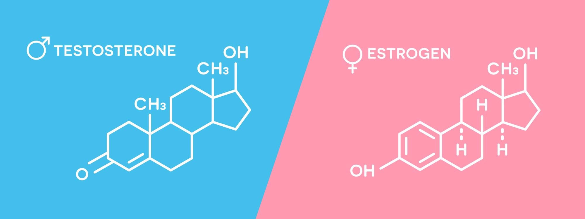 Sex hormones