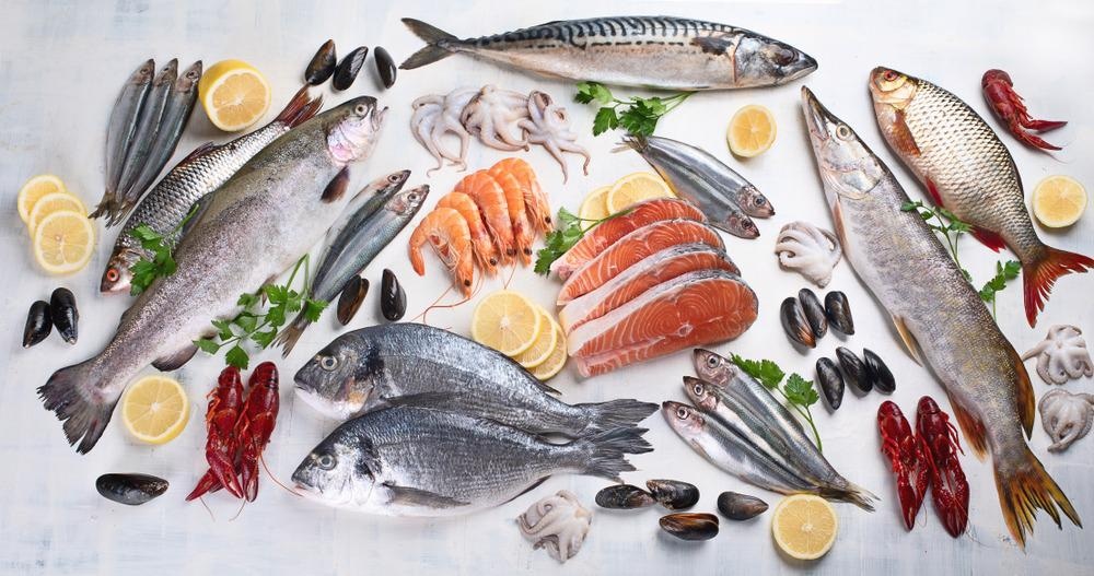 Fish diet