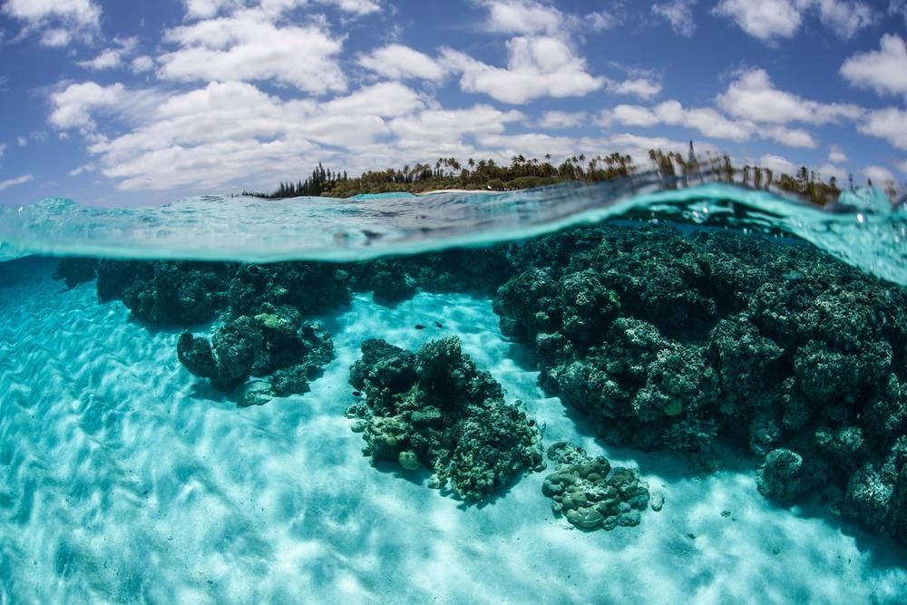 Marine biology