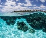 What Role Does Biochemistry Play in Marine Biology?