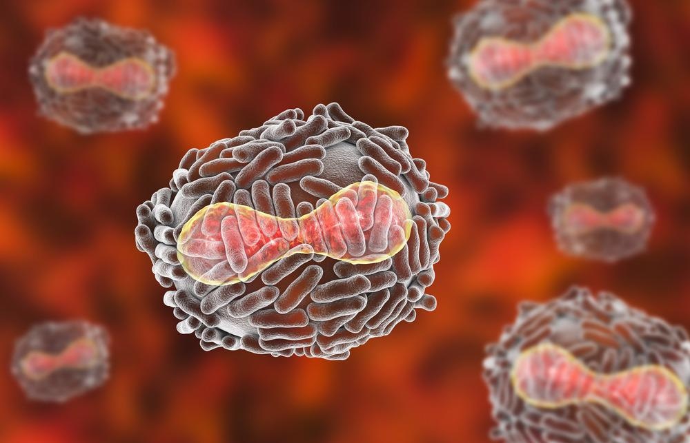 Monkeypox Virus