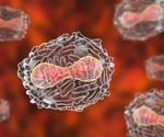 What Are Giant Viruses?