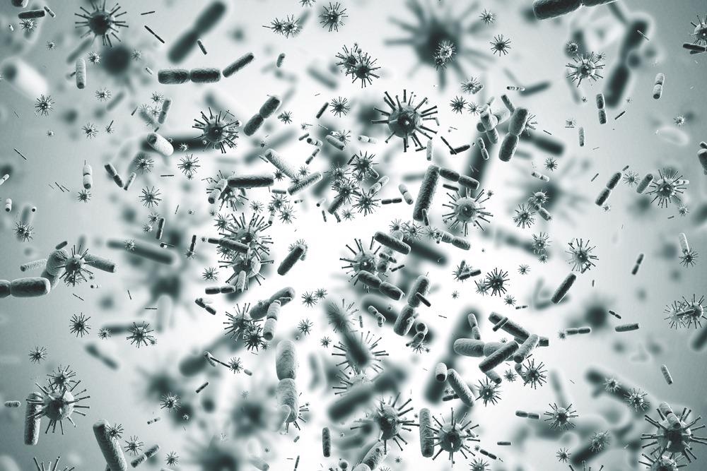 Bacteria