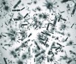How Important are Bacteria for Life on Earth?