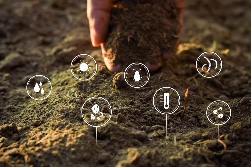 Soil Microbiology