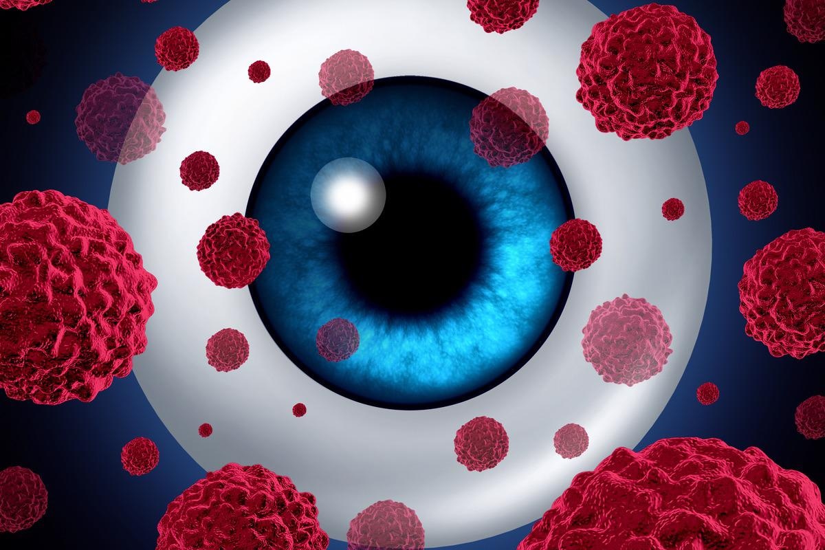 Image Credit: Lightspring/Shutterstock