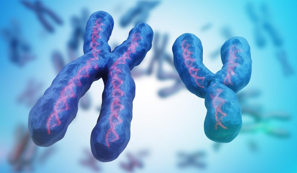 Sex Chromosomes