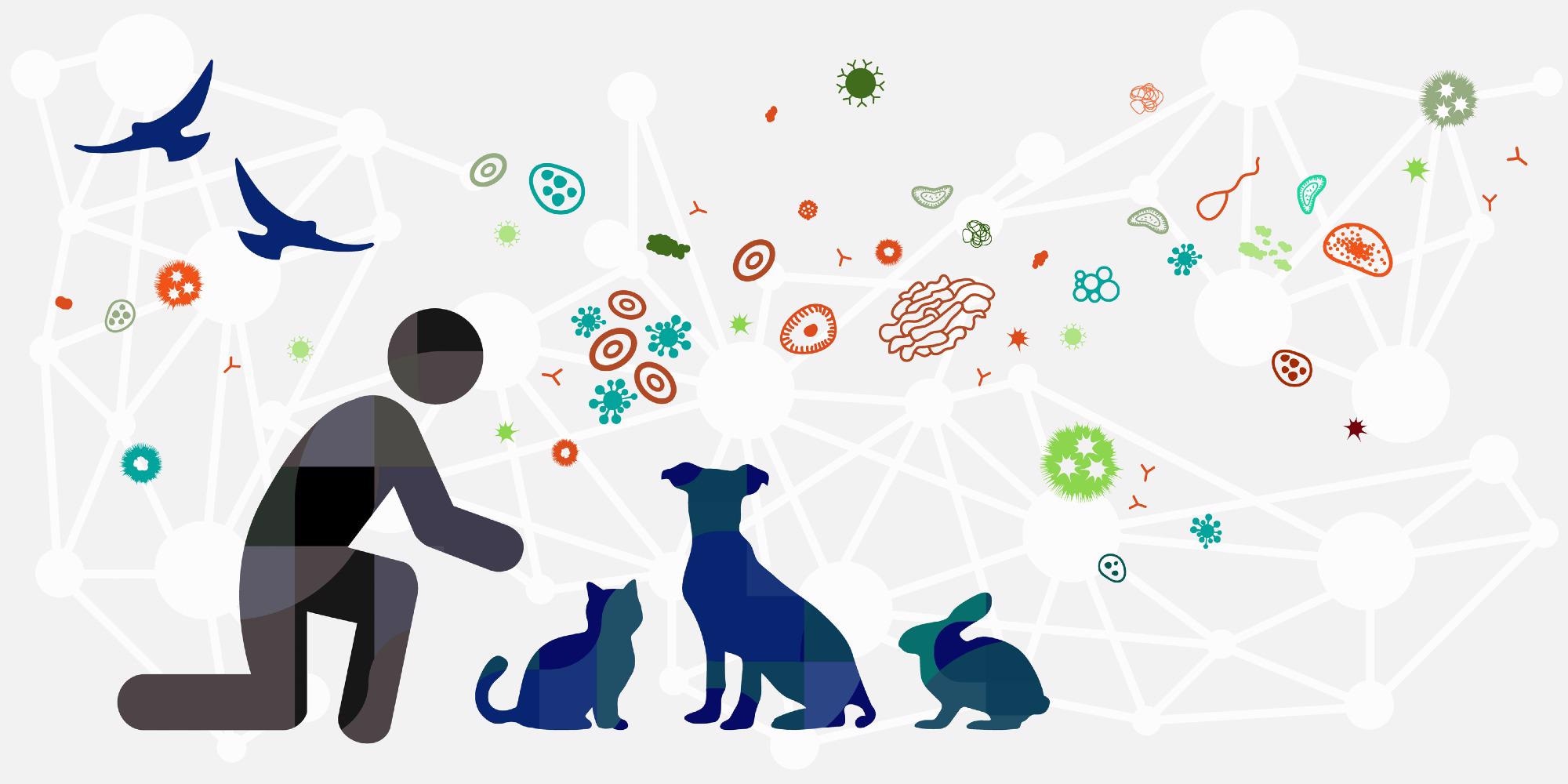 Zoonotic diseases