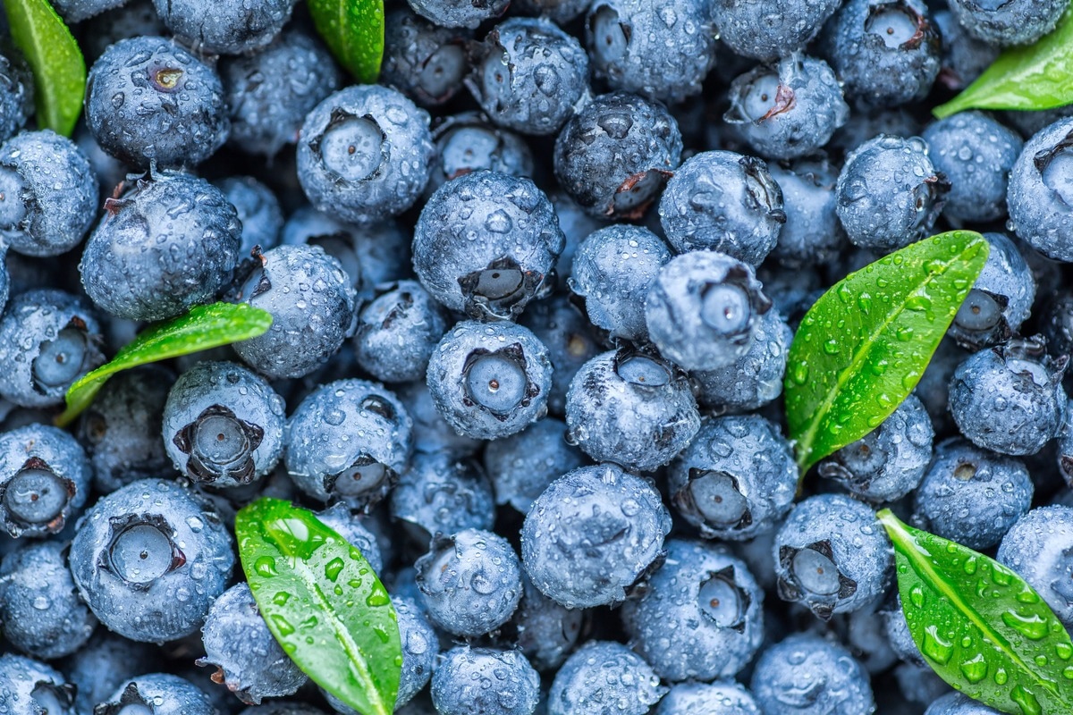 Image Credit: Bukhta Yurii/Shutterstock