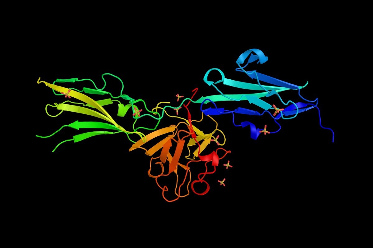 The FGFR2 gene. Image Credit: ibreakstock/Shutterstock