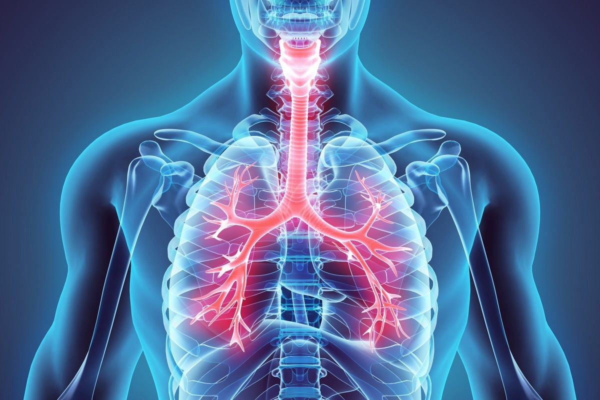 Image Credit: MDGRPHCS/Shutterstock