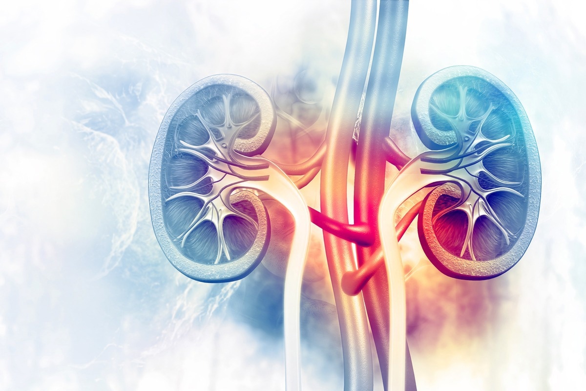 Image Credit: crystal light/Shutterstock