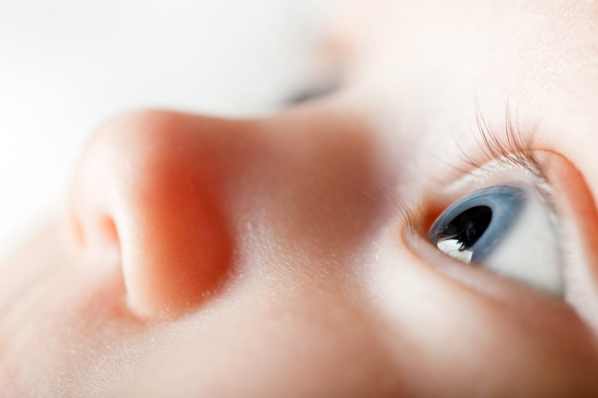 Image Credit: Dmytro Larin/Shutterstock
