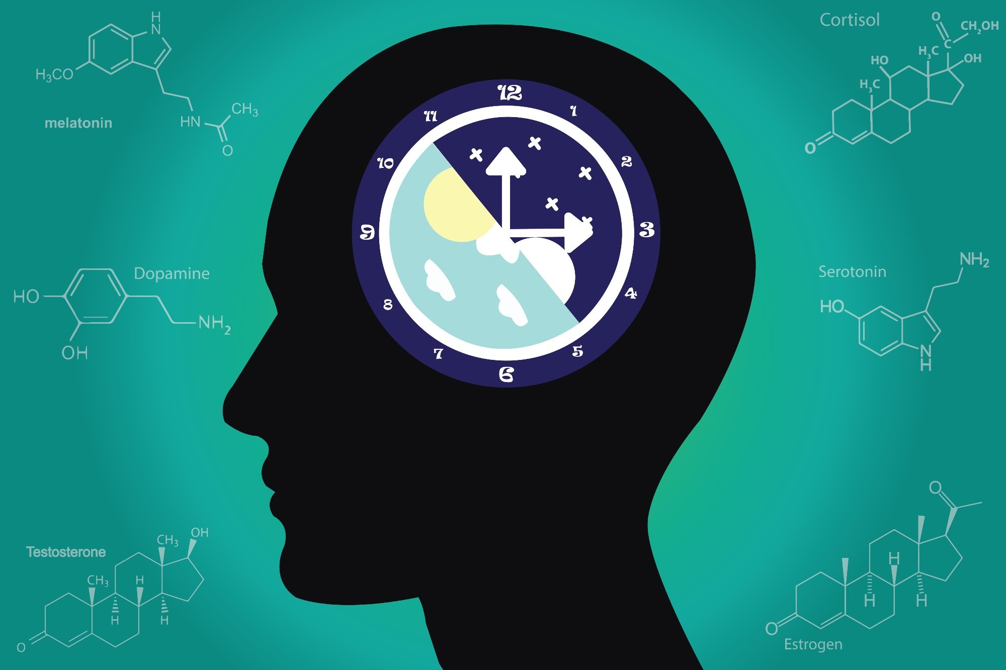 Sleep hormones