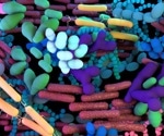 Microbiology in Everyday Life