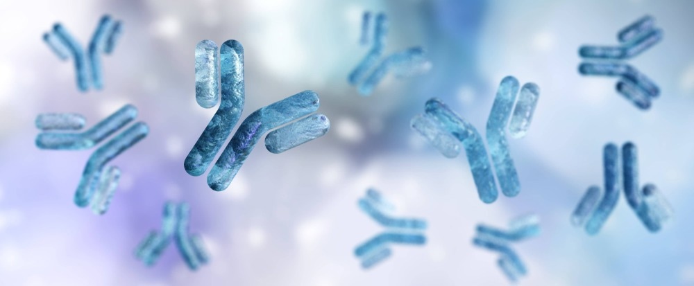 Antibodies