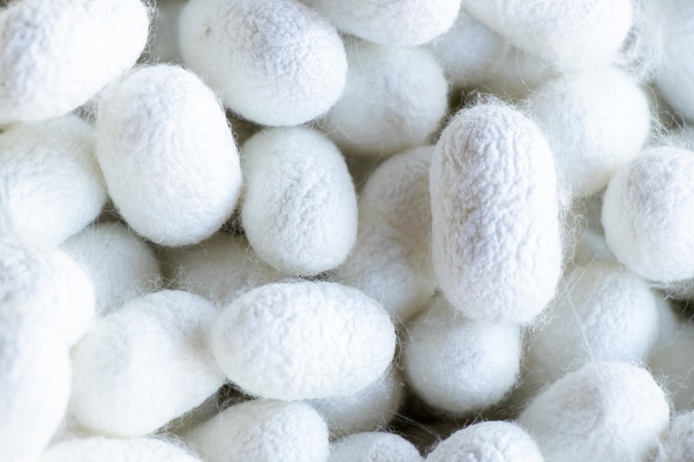 silkworm cocoon