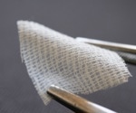 Bioinspired Materials in Biomedicine