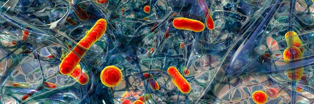 Biofilm