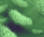 Microbiology in Aquatic Research