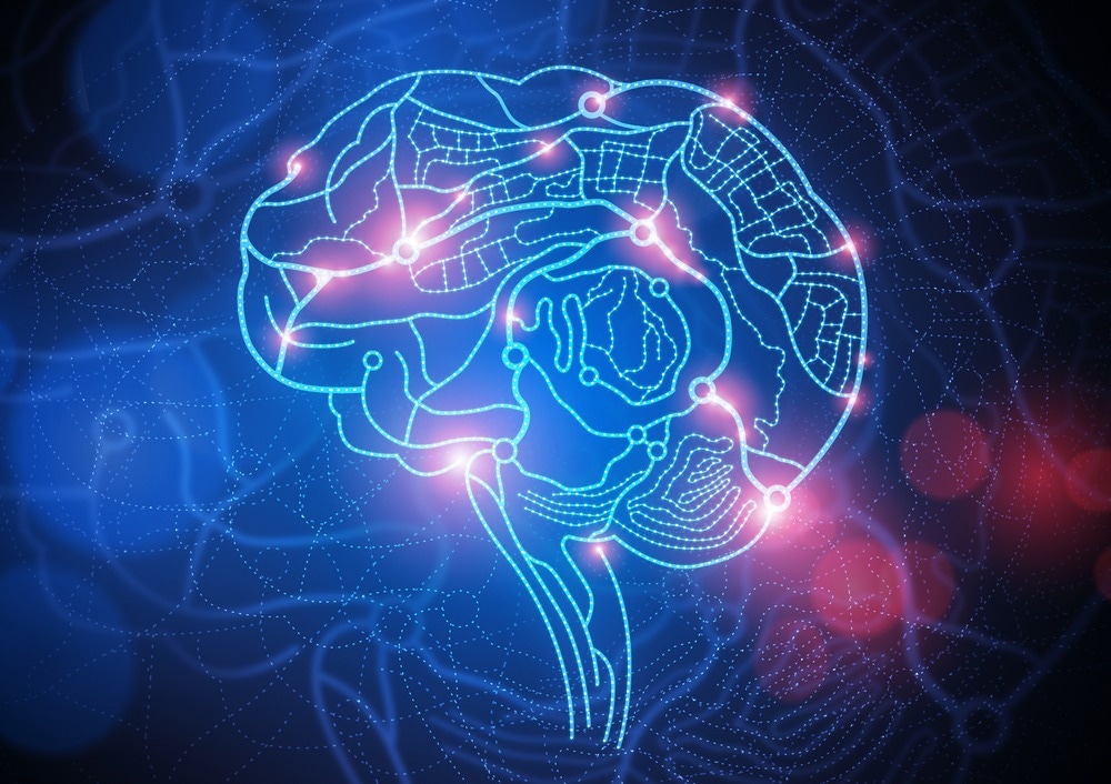 Brain