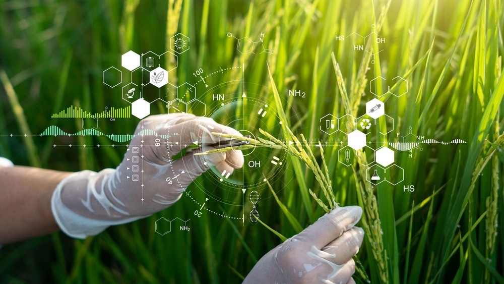 GMO crops