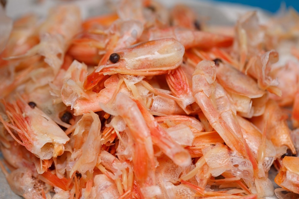 Chitosan