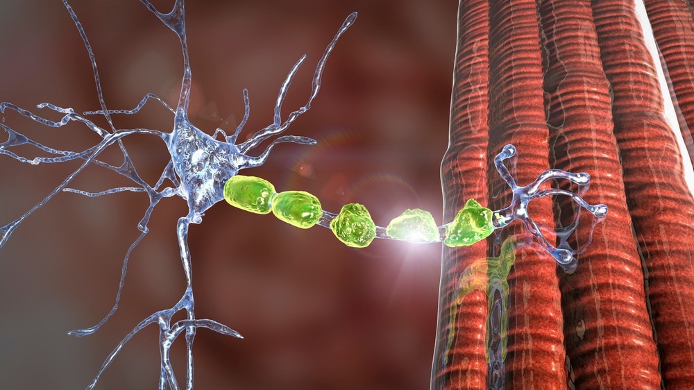 Peripheral Neuropathy