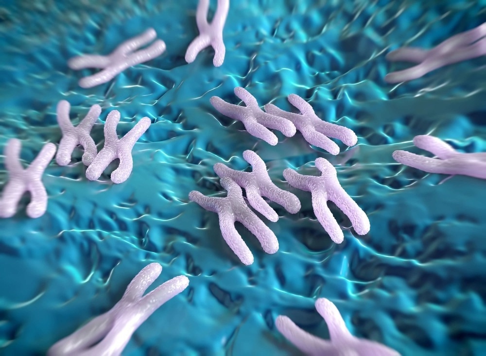 Chromosomes