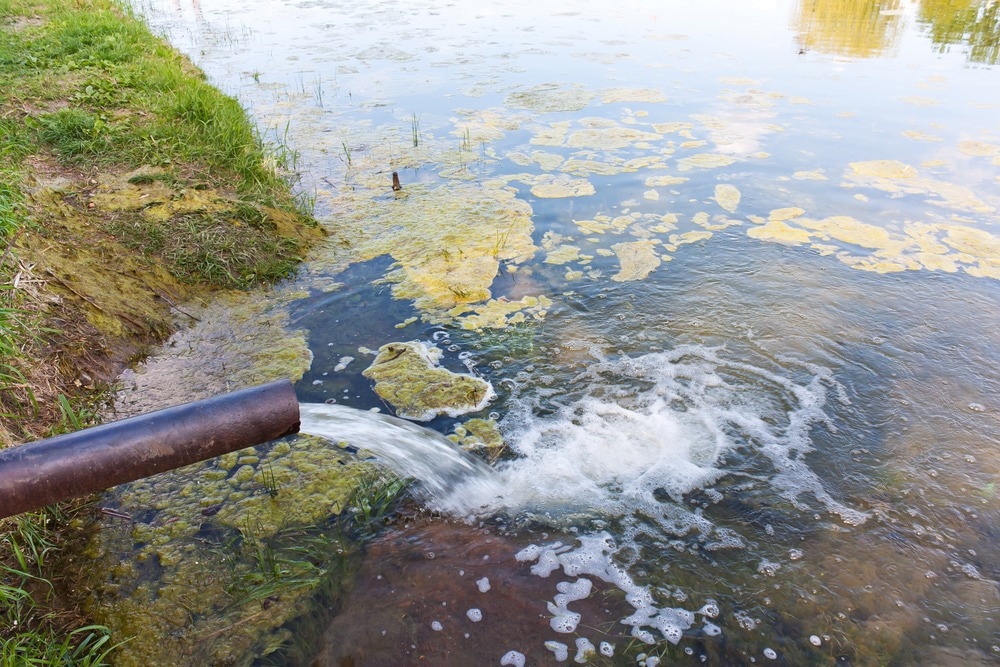 Wildlife toxicology