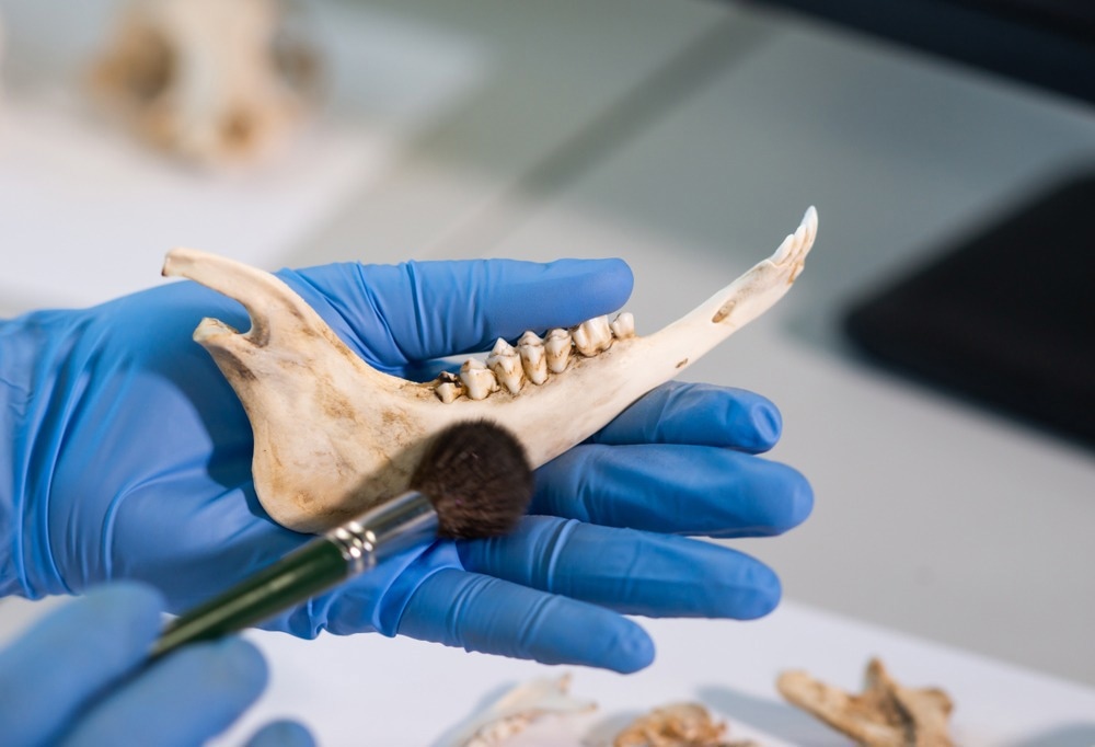Ancient DNA
