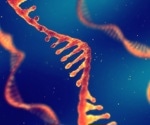 The Clinical Significance of Long Non-Coding RNAs in Cancer