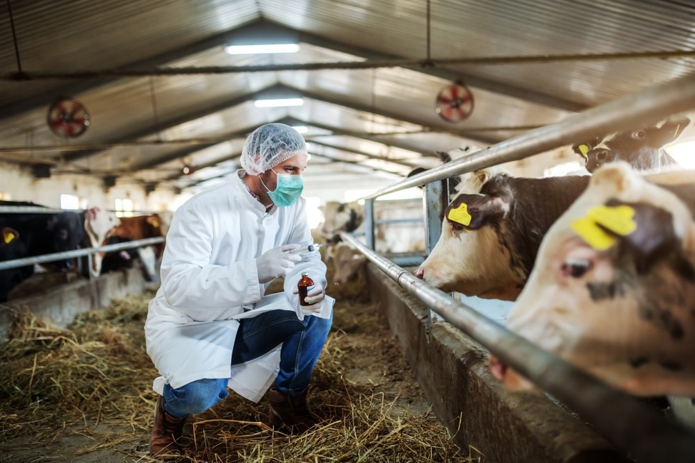 Veterinary vaccines