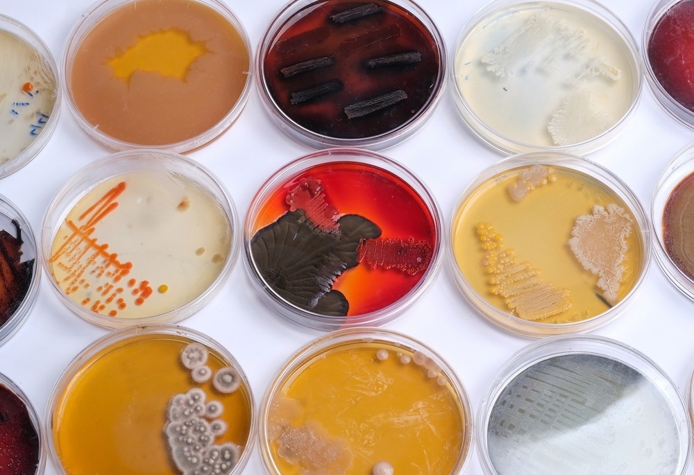 Microbial Assay