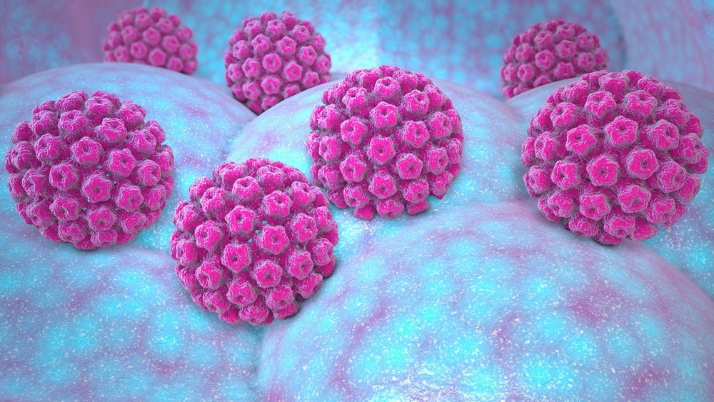 papillomavirus