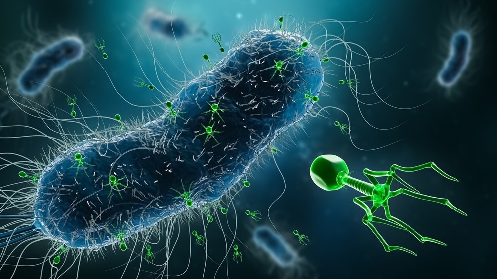 Phage Therapy