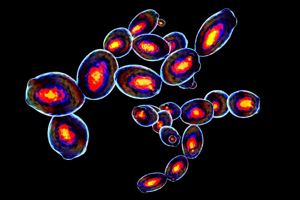 Flow Cytometry